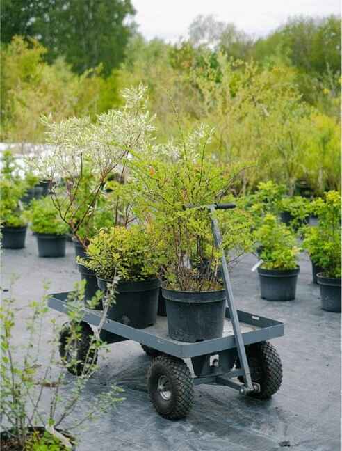 Raw Garden Cart